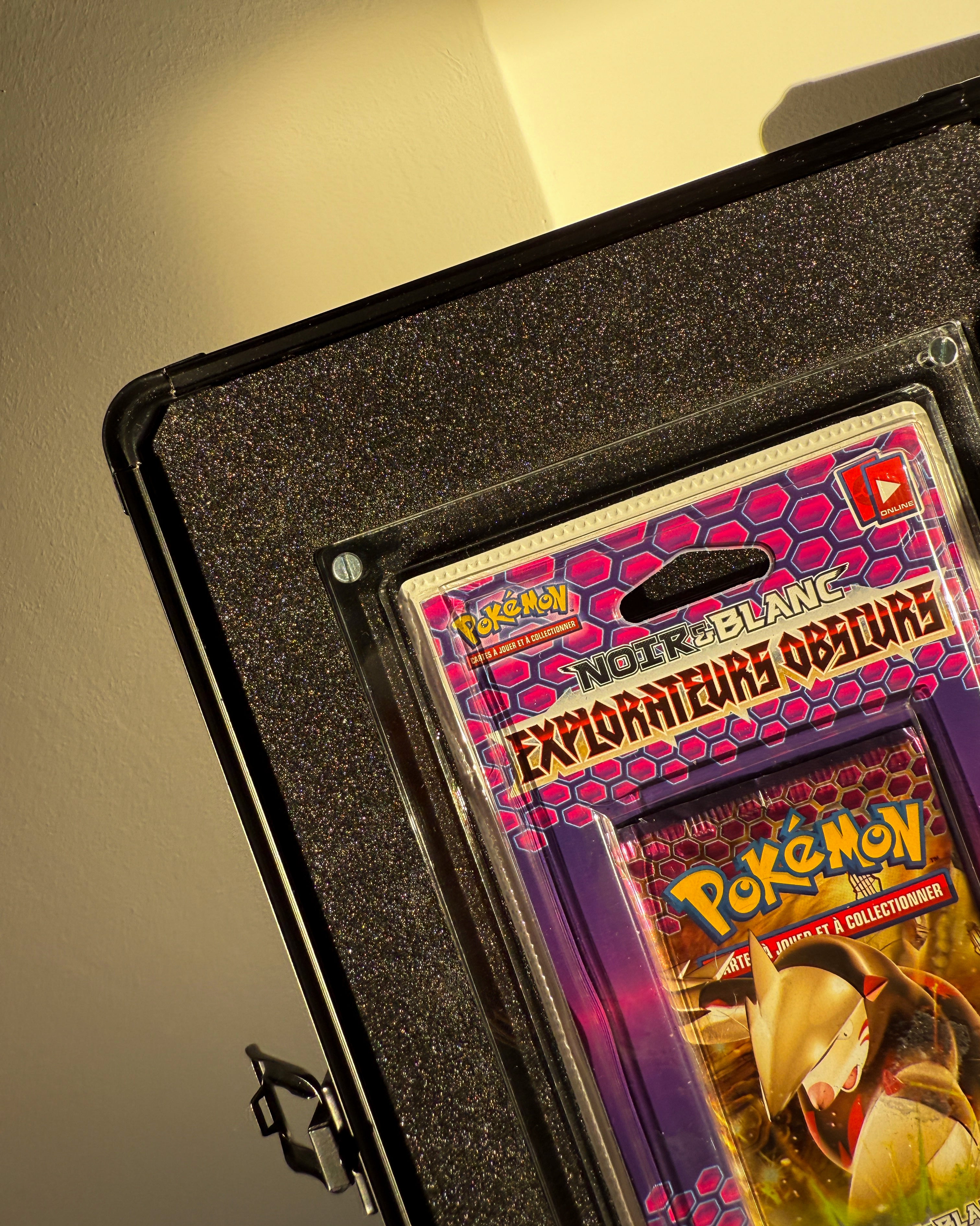 Protection Sur-Mesure pour Cartes Pokemon et Item de Collection|VANDJI Case