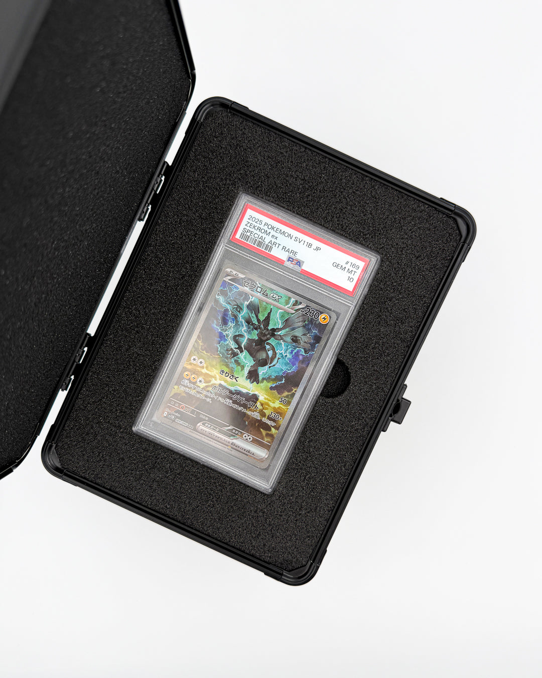 CASES